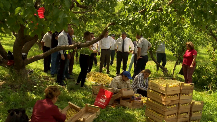 Повестка дня: индекс