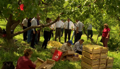 Повестка дня: индекс