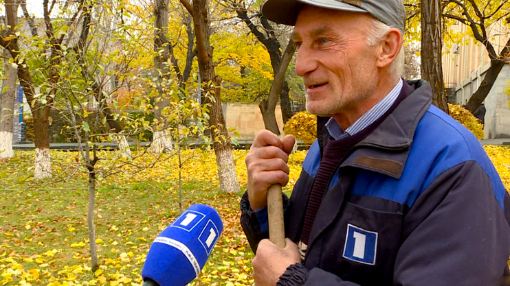 The devotees of television