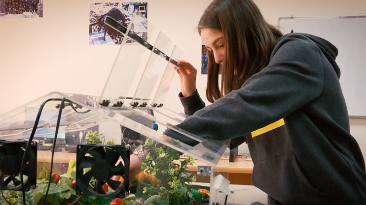 Техномозг. Умная теплица