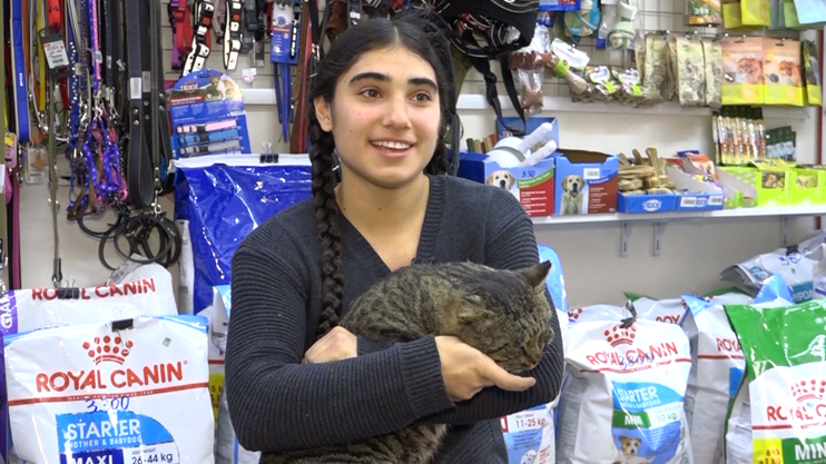 Հրապարակում