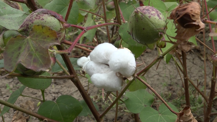 Герой нашего времени