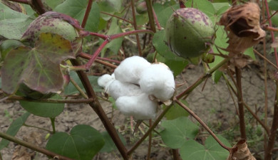 Герой нашего времени