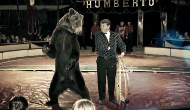 Հայկական կրկես