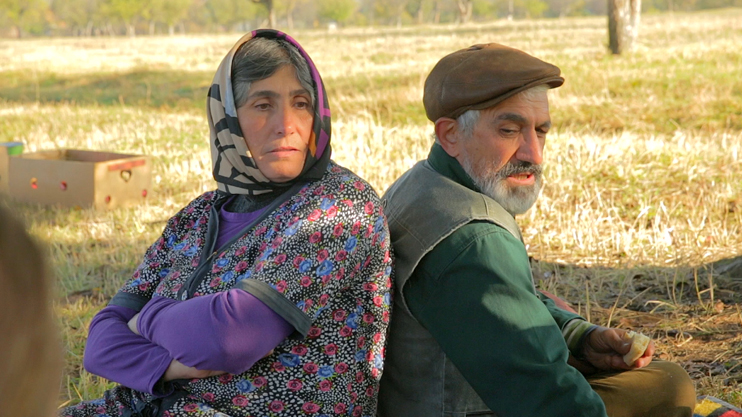 Т/С «Наше село» (серия 12)