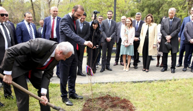 Խորհրդարանական շաբաթ
