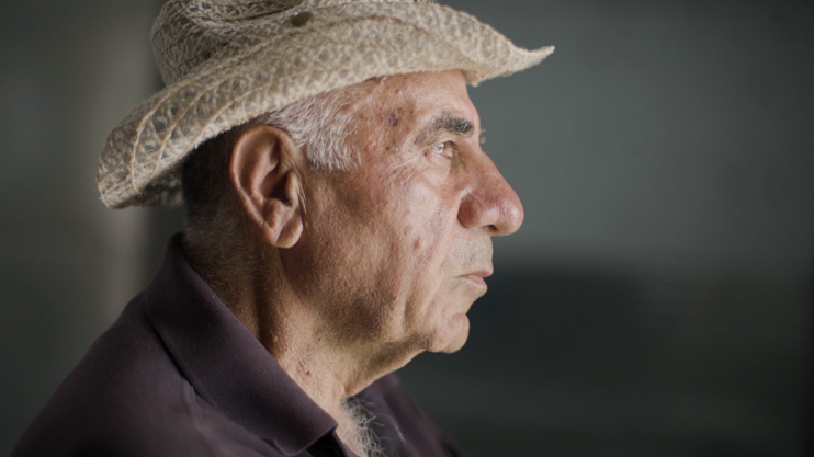 Իմ գործը. Երազանքի այգի