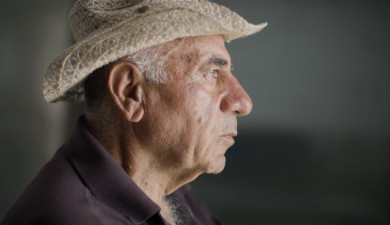 Իմ գործը. Երազանքի այգի