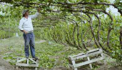 Իմ գործը. Արևի համը