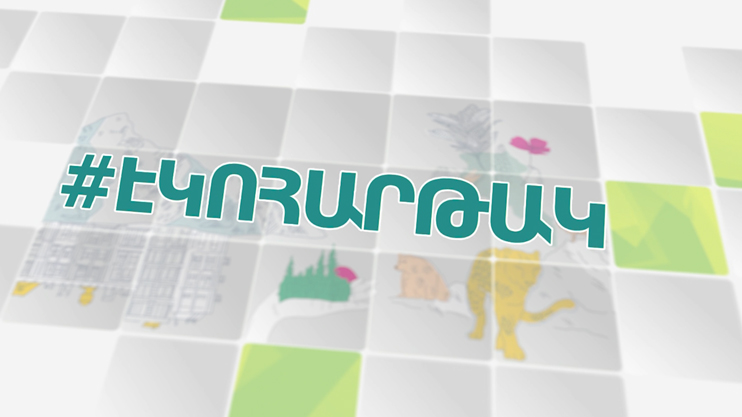 Экоплощадка. Стабильное сельское хозяйство