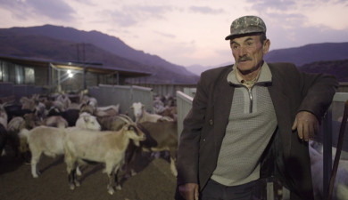 Իմ գործը. Կենդանի բնություն