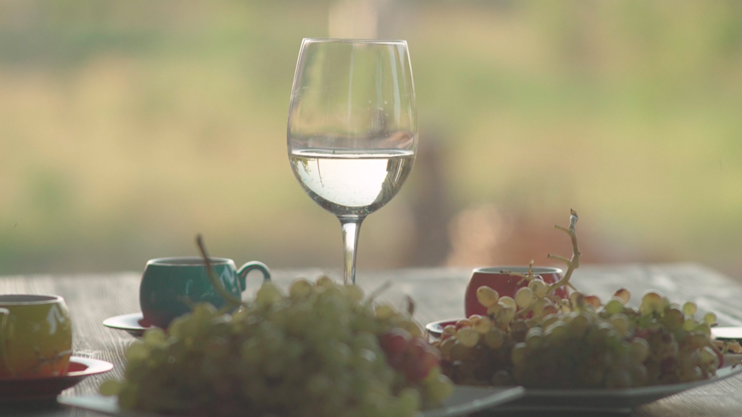 Իմ գործը. Գործն ու գինին