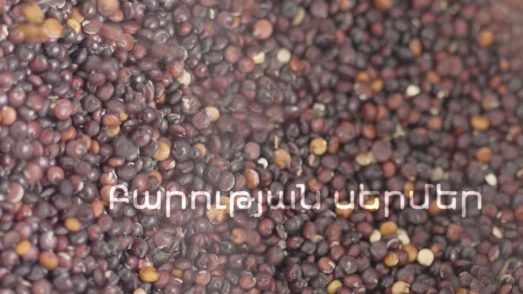 Իմ գործը. Բարության սերմեր