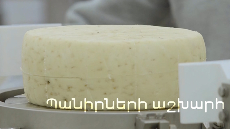 Իմ գործը. Պանիրների աշխարհ