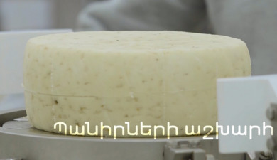 Իմ գործը. Պանիրների աշխարհ