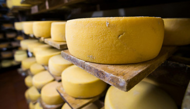 On the Roads of Armenia: Food Safety Service (Part 2)