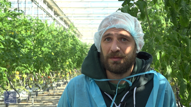 Հրապարակում