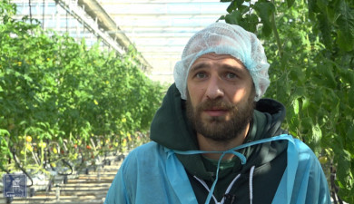 Հրապարակում