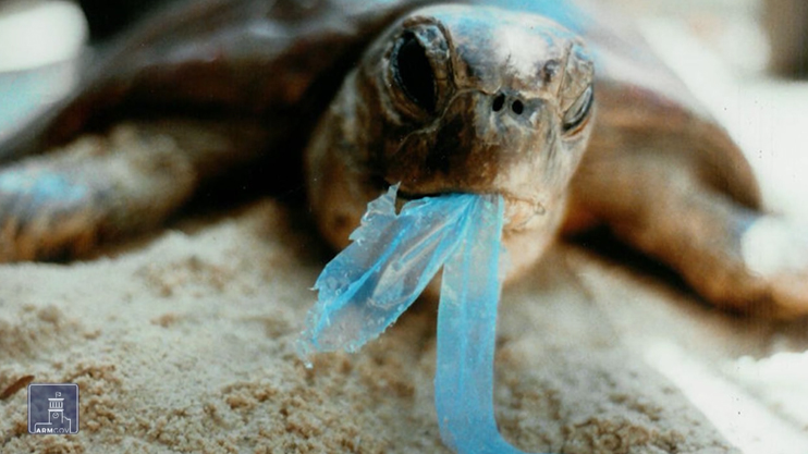 Հրապարակում