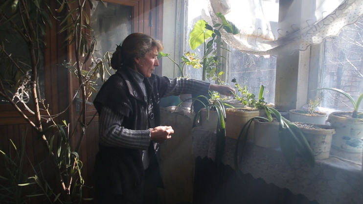 Մեկ պատուհան. Ժառանգություն