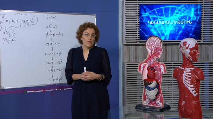 Public Lesson: Environment and I, Biology, Sociology