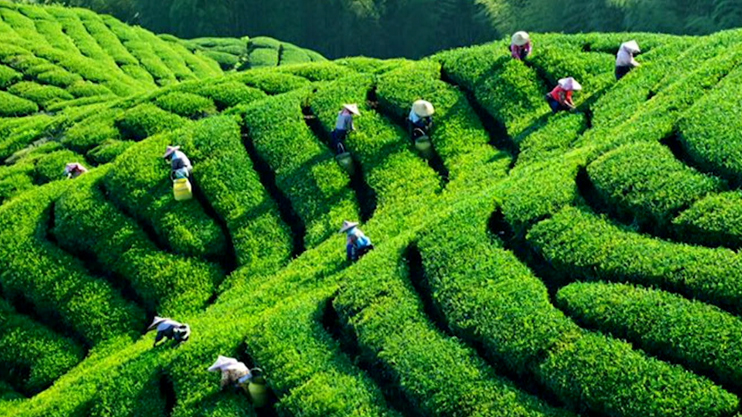 Օրվա հերթապահ 1