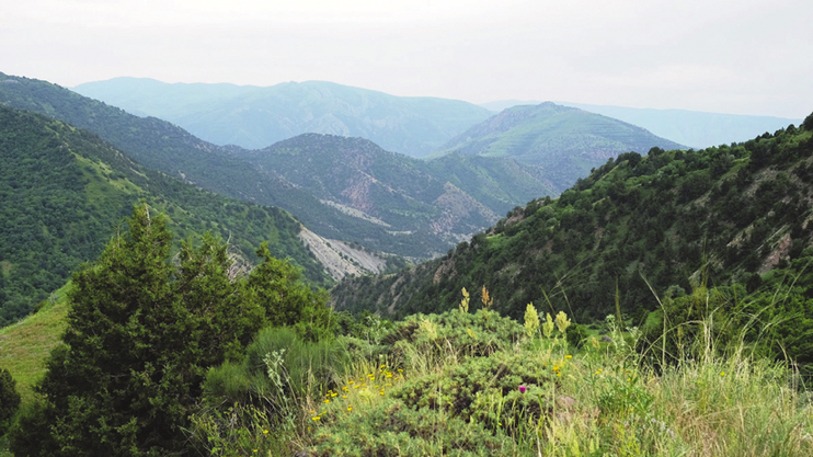 Вести. Главный выпуск
