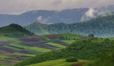 Լուրեր. Հատուկ թողարկում Տավուշից