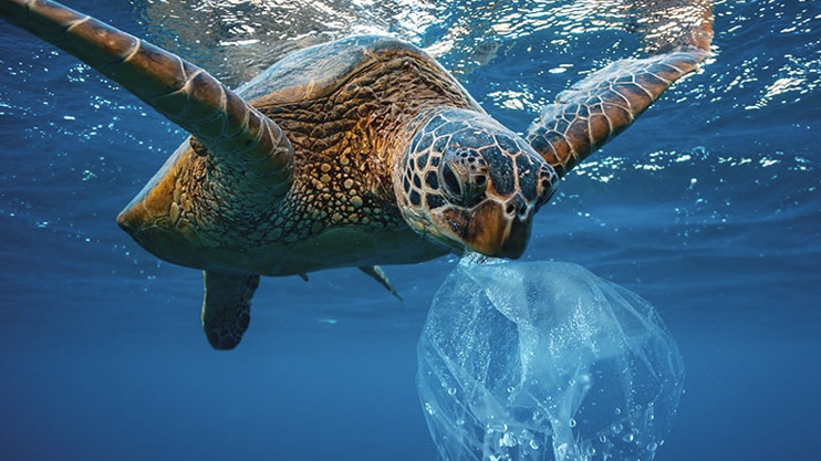 Тайны океана