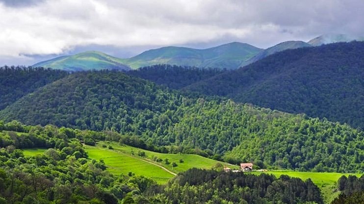 Вести. Главный выпуск