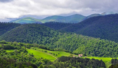 Вести. Главный выпуск