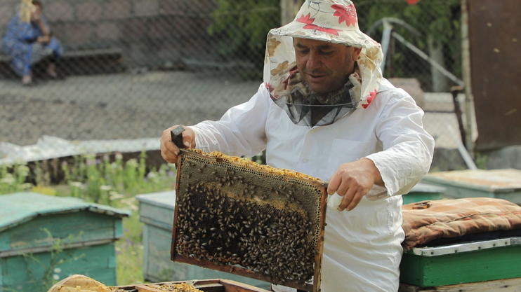 Սահմանապահ գյուղեր. Լուսաղբյուր