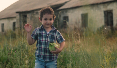 Իմ գործը. Բերքառատ Հայաստան