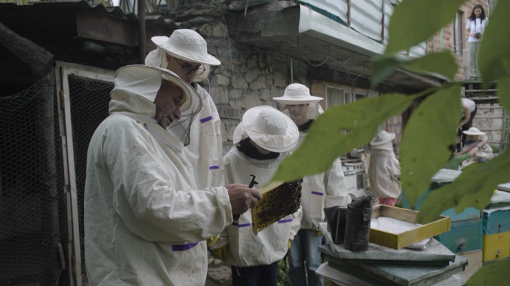 Իմ գործը. Սեփական փորձով 2