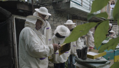 Իմ գործը. Սեփական փորձով 2