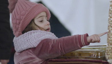 Իմ գործը. Փորձից գործ