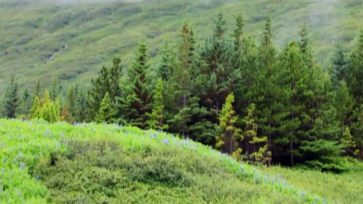 Cities of the World: Iceland 2