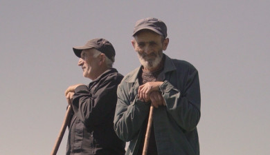 Իմ գործը. Մեր գործը