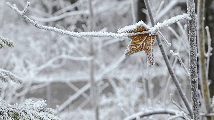 Լուրեր. Գլխավոր թողարկում