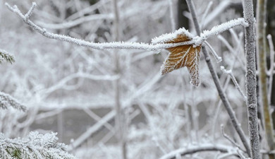 Լուրեր. Գլխավոր թողարկում