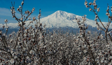 Լուրեր. Գլխավոր թողարկում