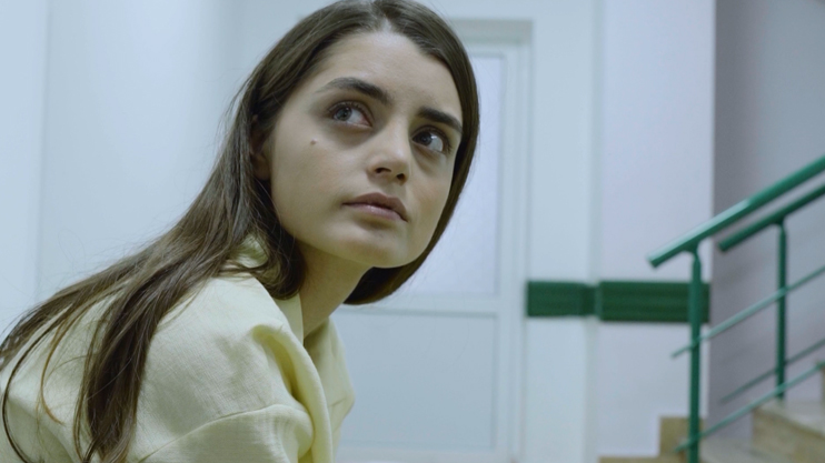 Т/С «Потерянный дневник» (серия 5)