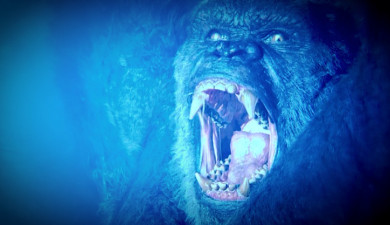 Киноньюз. Оскар