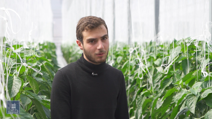 Հրապարակում