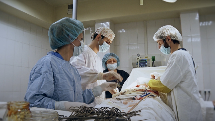 Role and Significance of Nurses