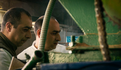 Իմ բիզնեսը. Դոլմաջյան եղբայրներ