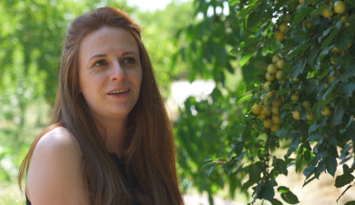 Հրապարակում