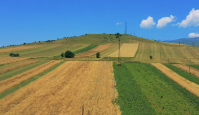 Լուրեր. Գլխավոր թողարկում