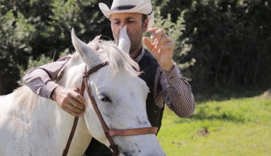 ԳործԱրար. «ԱՍՊ» հեծյալ ակումբ