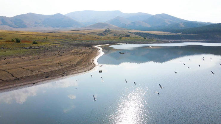 Вести. Главный выпуск